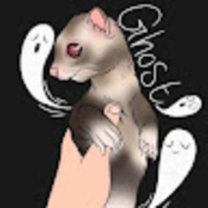 Meet your Posher, Corey